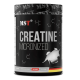 Креатин моногідрат MST Creatine Micronized (500 g)