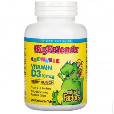 Big Friends Chewable Vitamin D3 400 UI (250 tabs)