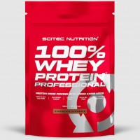 100% Whey Protein Professional (500 g)