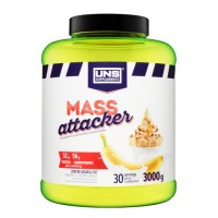 Mass Attacker (3 Kg)