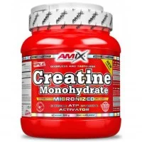Amix Creatine Monohydrate (300 g)
